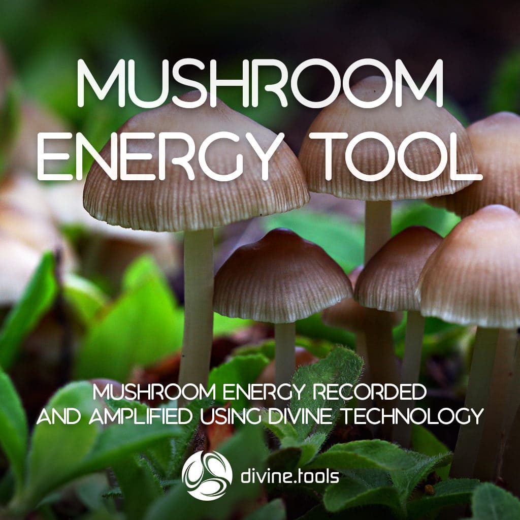 Mushroom Energy Tool