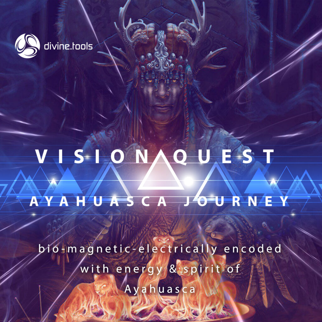 Vison Quest - Ayahuasca Journey