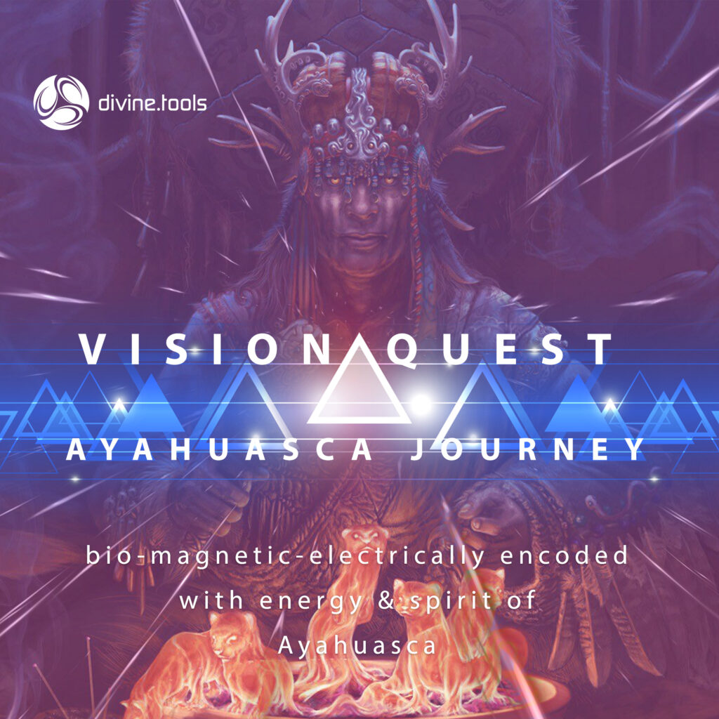 Vision Quest - Ayahuasca Journey